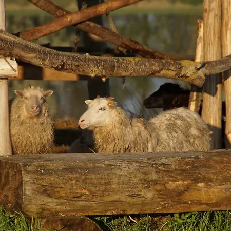 Feriegård Ciche Wody